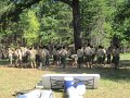 07262010_3_Ground_Preparation_1