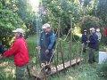 04-03_Sun1_Bridging-17