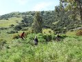 04-07_Thu1-43
