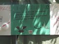 04-07_Thu4-08