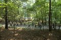 06-19_Camp_Tour_008