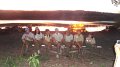 06-20_First_Campfire_026