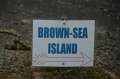 06-23_Brown_Sea_038