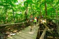 06-24_Conservation_Project_008