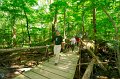 06-24_Conservation_Project_010