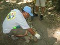 06-24_Conservation_Project_144