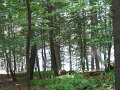 06-24_Mix_145