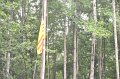 06-25_Troop_Assembly_035